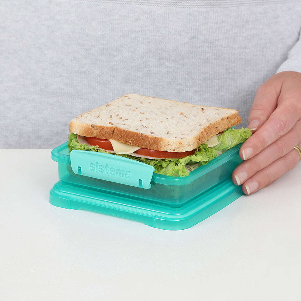 Lunch™ 450ml Sandwich Box